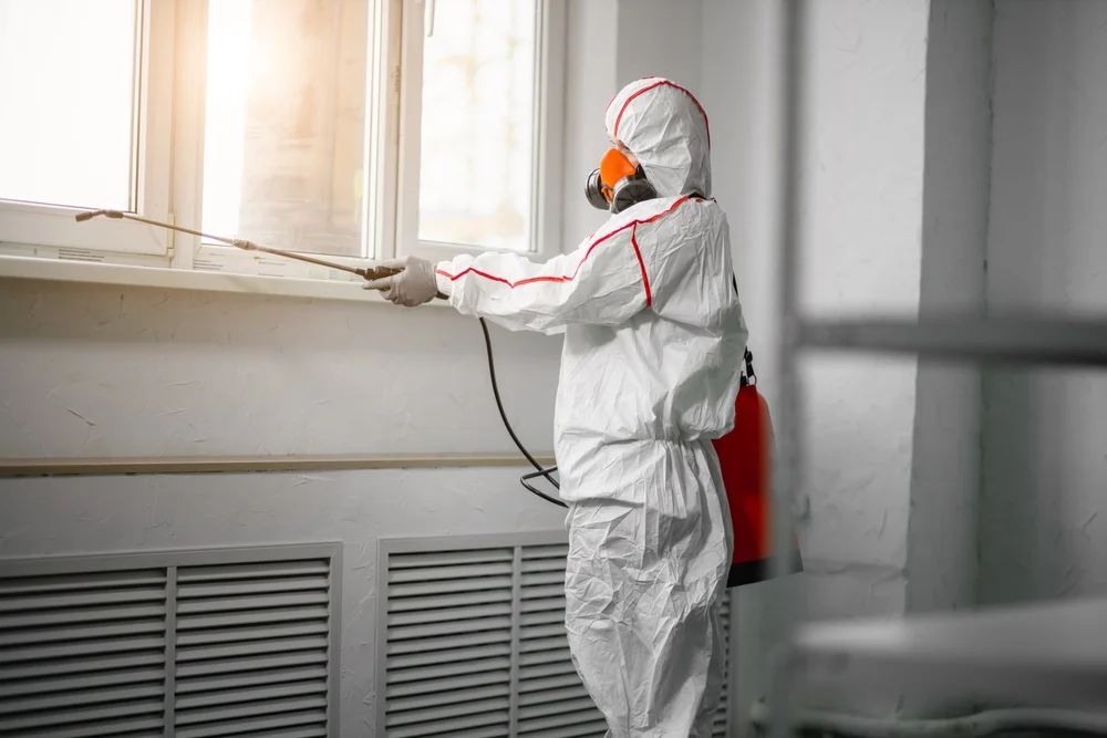 Professional mold remediation services in Rockmart, GA